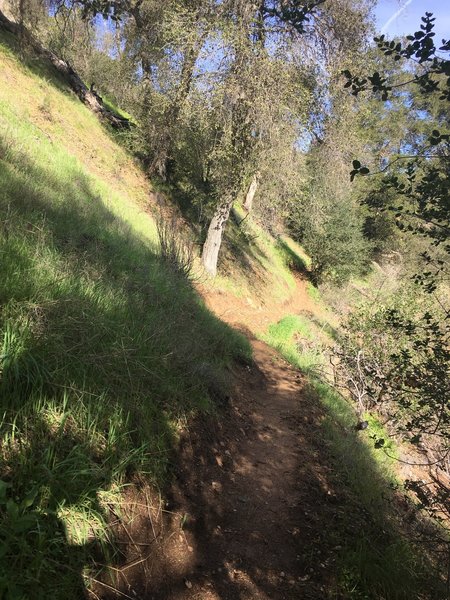 The trail skirts a narrow hillside with a steep drop-off on the right hand side. It's the trickiest part of the hike, but nothing that can't be conquered.