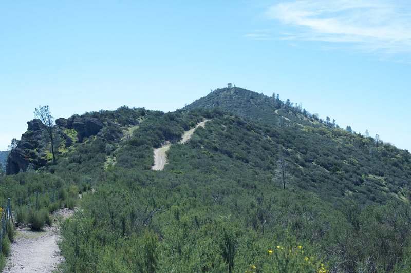 The trail leading up to North Chalone Peak. You'll notice the fire tower at the top.