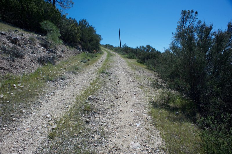 The trail is wide leading up to the tower.