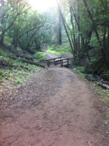 Wildcat Canyon, fun and tacky.