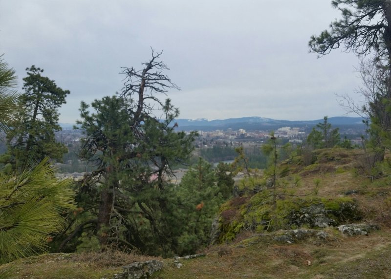 The intersection between Rimrock Drive and Trail 122 - Crater Loop.