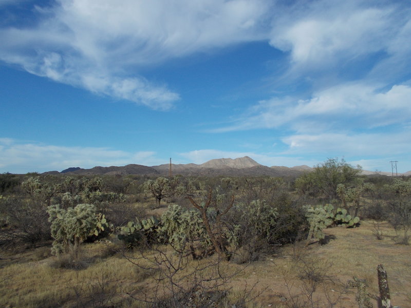 Looking east.