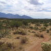 Looking southeast.  ypical terrain on Honeybee Canyon Loop after turning right at the first fork: more grass and low trees.