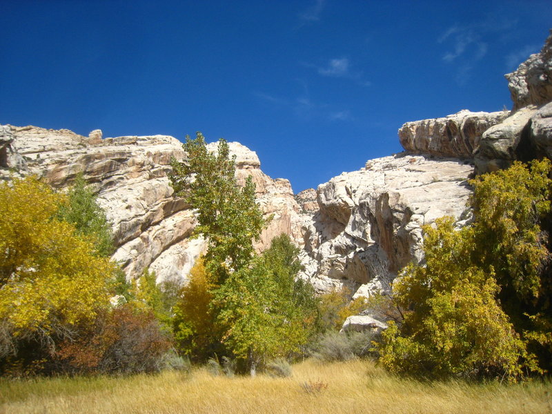 Hog Canyon.