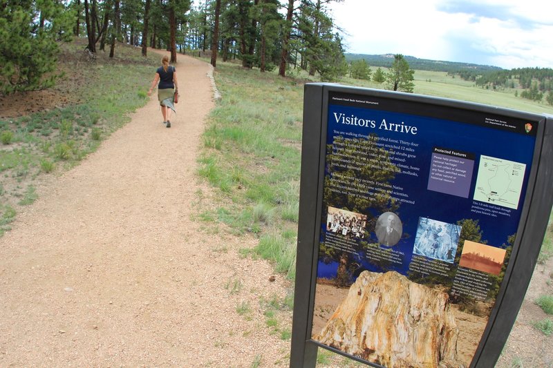 Petrified Forest Loop Trailhead.