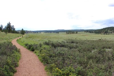 Through Petrified Forest Loop Trail.