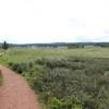 Through Petrified Forest Loop Trail.