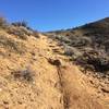 Looking back to the high point of the loop, on the way down Cobb Trail.