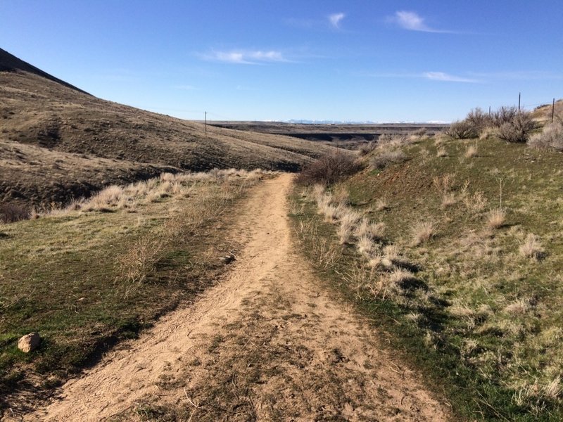 On the last leg, after turning off Cobb Trail and back to the Highland Valley Trail, with just a few minutes between here and the trailhead.