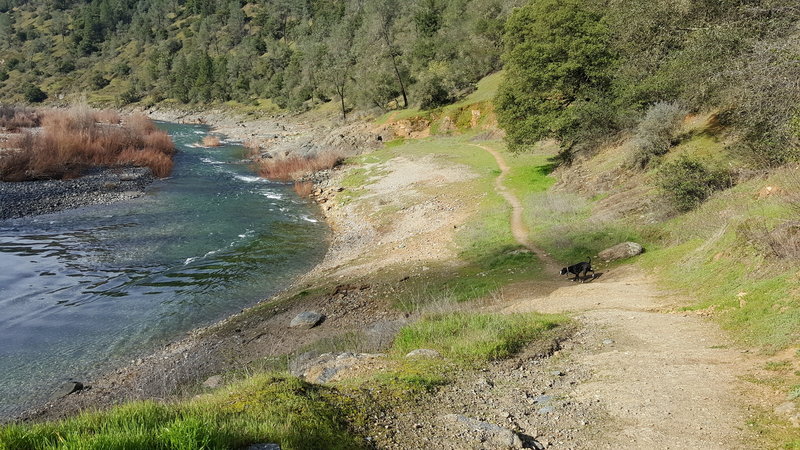 Codfish Creek Trailhead.