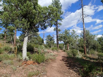 A grand day to be out on the trail.