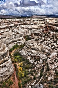 Natural Bridges National Monument, UT.