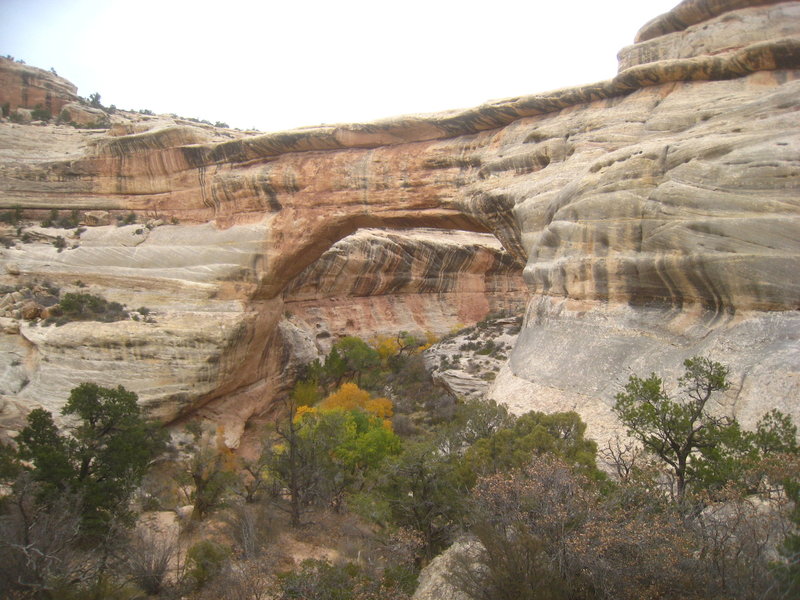 Kachina Bridge.