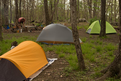 Backcountry campsite #13. A short walk to the bald.