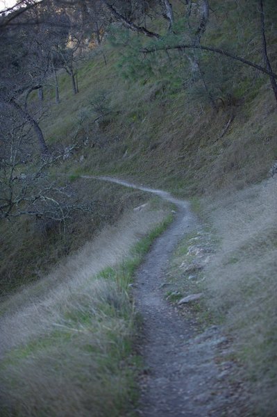 The narrow trail hugs the ridge line before it switches back on itself.