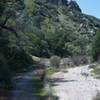 After Spring rains, a little more water flows in the creek.