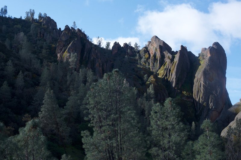 A view above you as you climb the Cliff Trail.