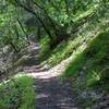 The trail descends from the Bear Gulch area to the South Chalone Creek and Bench Trail.  Its one of the better shaded trails in the park.