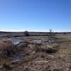 One of the best areas to hang out at watch local waterfowl.