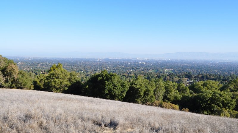 Incredible views from the Wildcat Trail.