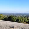 Incredible views from the Wildcat Trail.