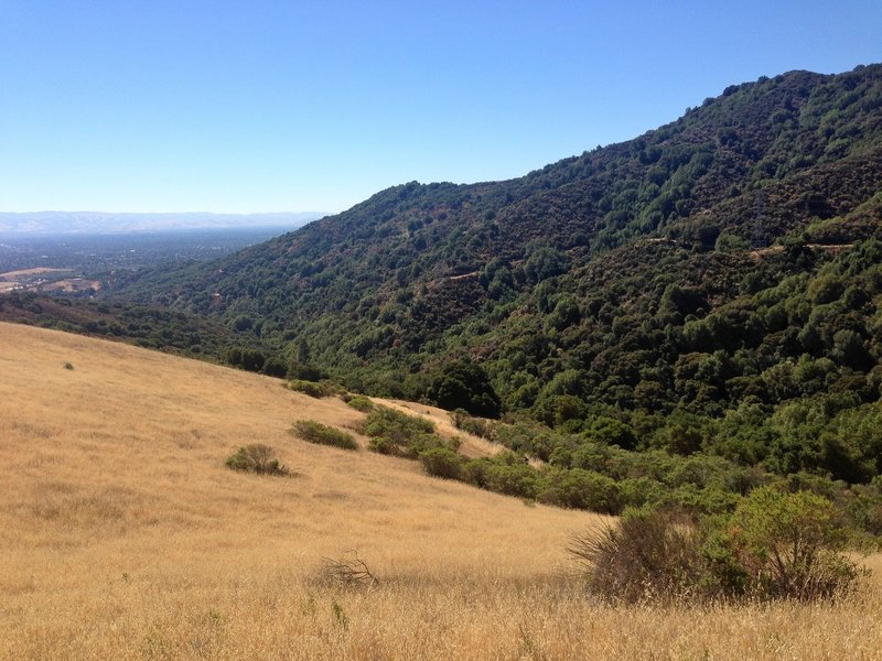 Some of the local scenery from the Upper High Meadow Trail.