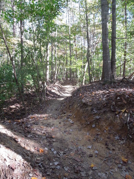 An example of the rolling singletrack on the Piedmont Trail.