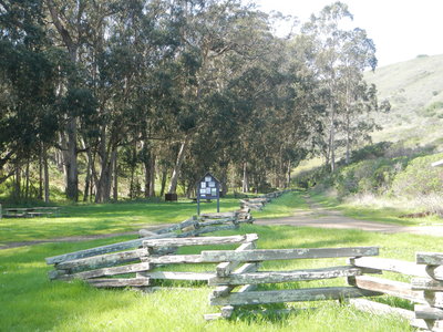 Take a family hike or campout here at Haypress Camp.  Plenty of lizards to catch.