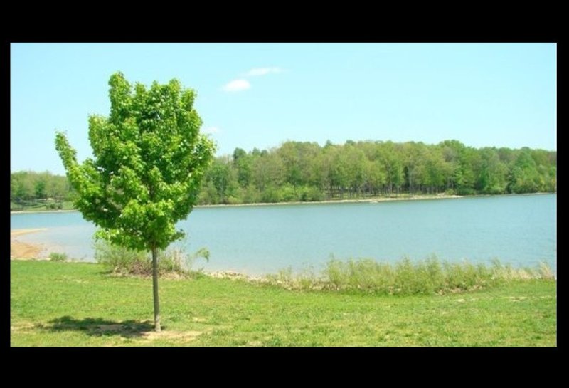 Looking east across Freeman Lake. On the far side you see the Freeman Lake trail between miles 4 and 5.