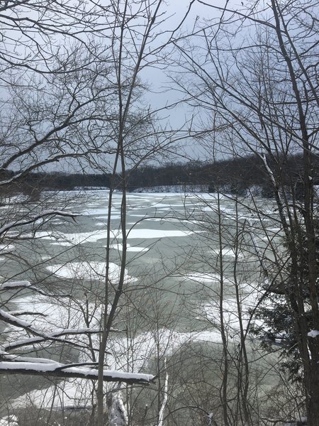 Looking out over Lake Newport.