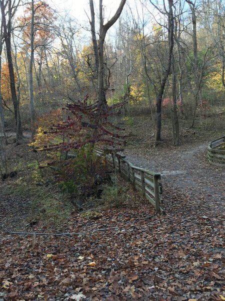 Another view of Frick Park.