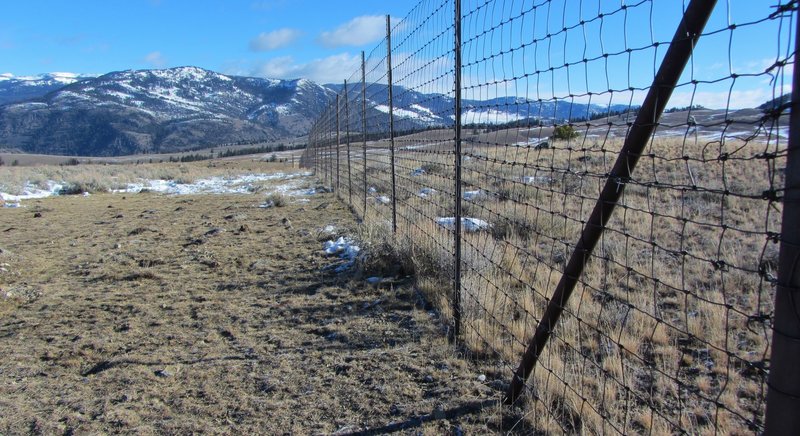 "Elk exclosures" used by park biologists to study the effects of Yellowstone's browsing animals on the native vegetation. Note the taller grass on the right side, inside the exclosure.