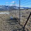 "Elk exclosures" used by park biologists to study the effects of Yellowstone's browsing animals on the native vegetation. Note the taller grass on the right side, inside the exclosure.