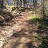 Steep climb under the trees.