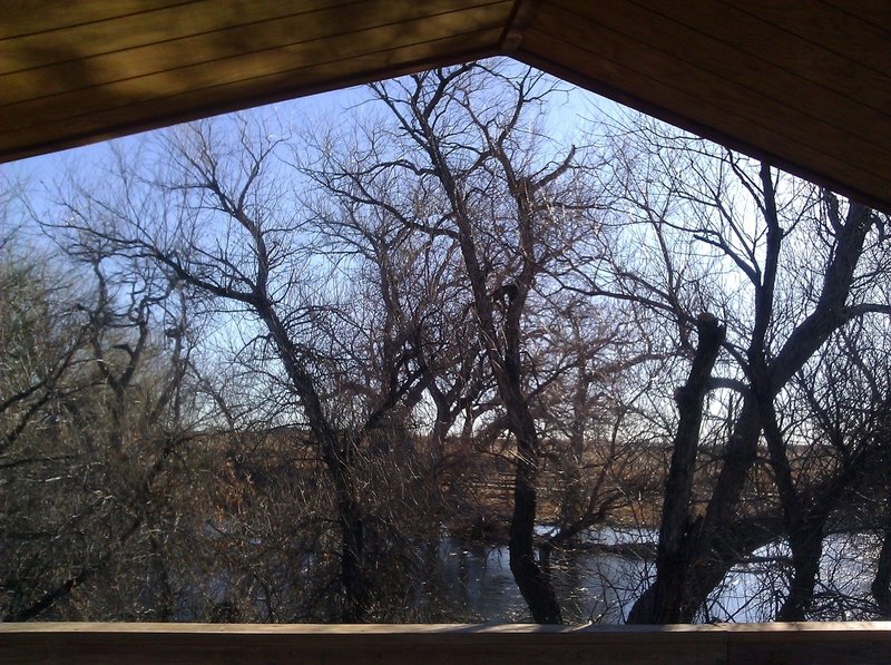 View from Boardwalk Gazebo to the east