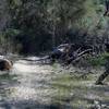 The North Wilderness Trail can be sandy in areas as it moves through the old riverbed.