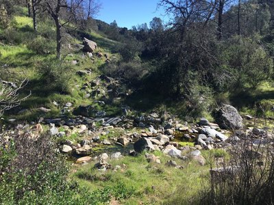 This is the last crossing of the North Fork of the Chalone Creek (or first depending on what way you are traveling).  If you are headed to the high peaks area, the trail starts to climb at this point.