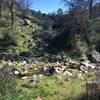 This is the last crossing of the North Fork of the Chalone Creek (or first depending on what way you are traveling).  If you are headed to the high peaks area, the trail starts to climb at this point.