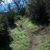 The North Wilderness Trail remains narrow as it climbs the hill.