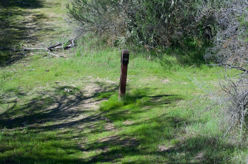 The trail turns sharply north at this point.