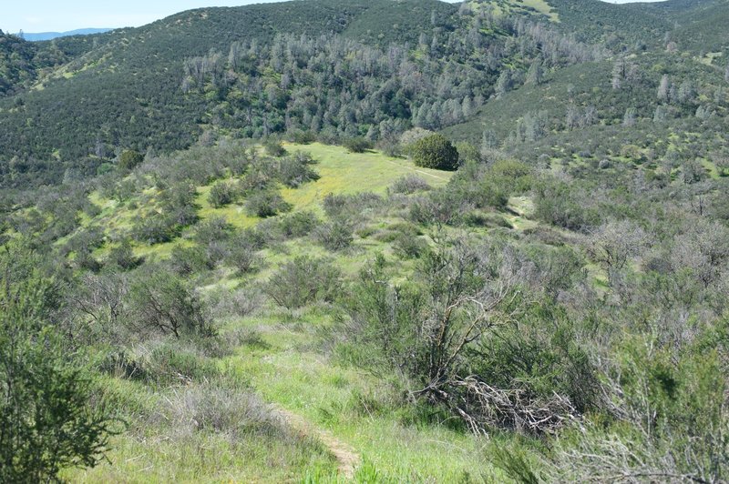 As you move downhill, you can see the North Wilderness trail off in the distance.