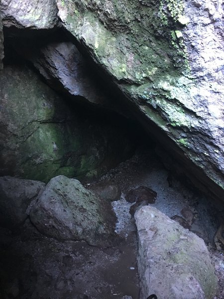 Looking down into the cave.   It's a tight squeeze, but it's worth exploring.  Make sure you have a flashlight as there are areas where there is no light.