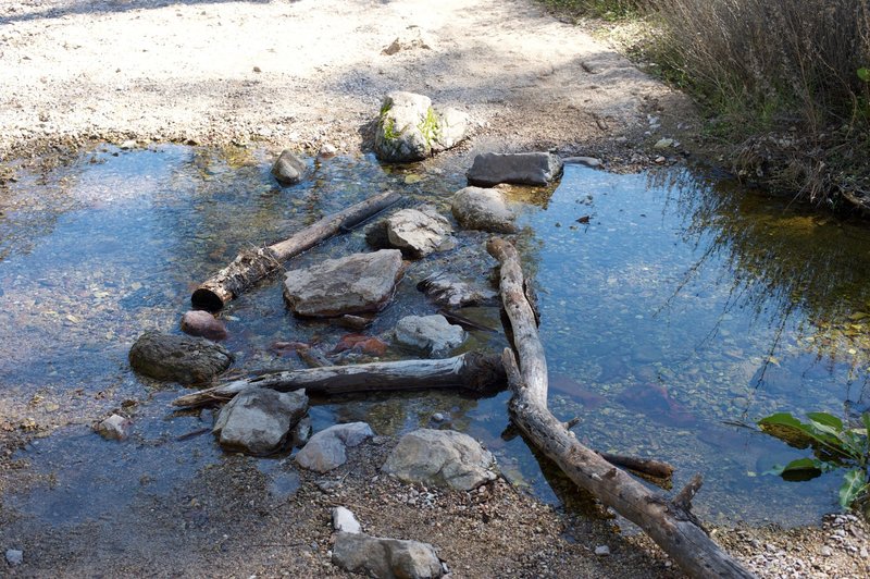 A typical creek crossing on the Balconies Trail.