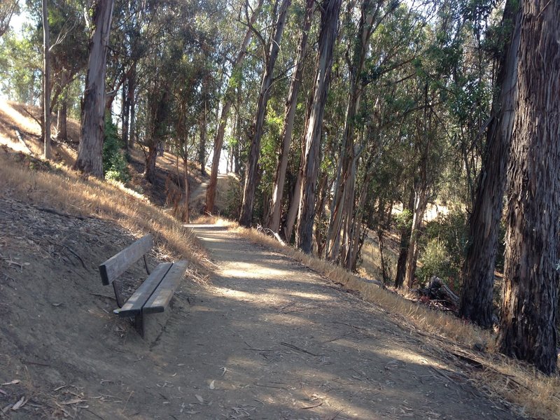 Bench in the shade and overlooking the lake.