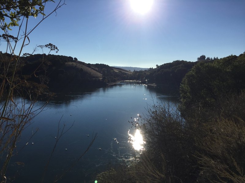 View of the lake and the marina from Bass Cove Trail.