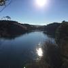 View of the lake and the marina from Bass Cove Trail.