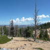 An old Bristlecone Pine on the well named Bristlecone Pine Trail.