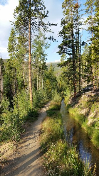 Small diversion stream paralleling the trail.