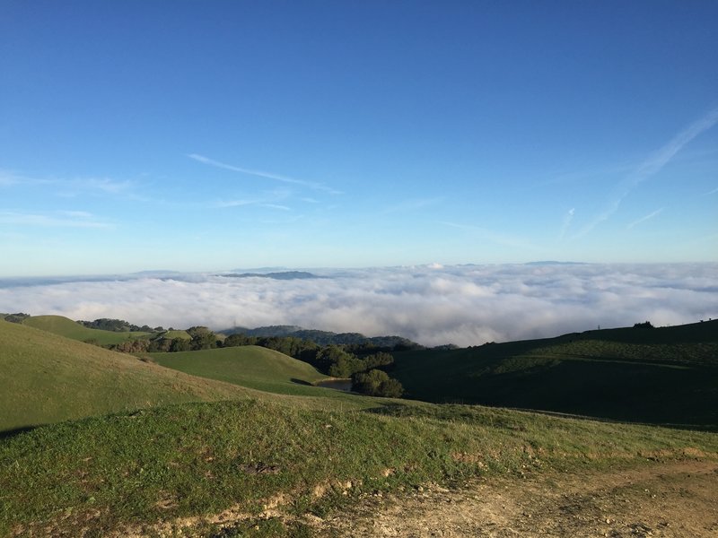 View from Las Trampas Ridge Trail.