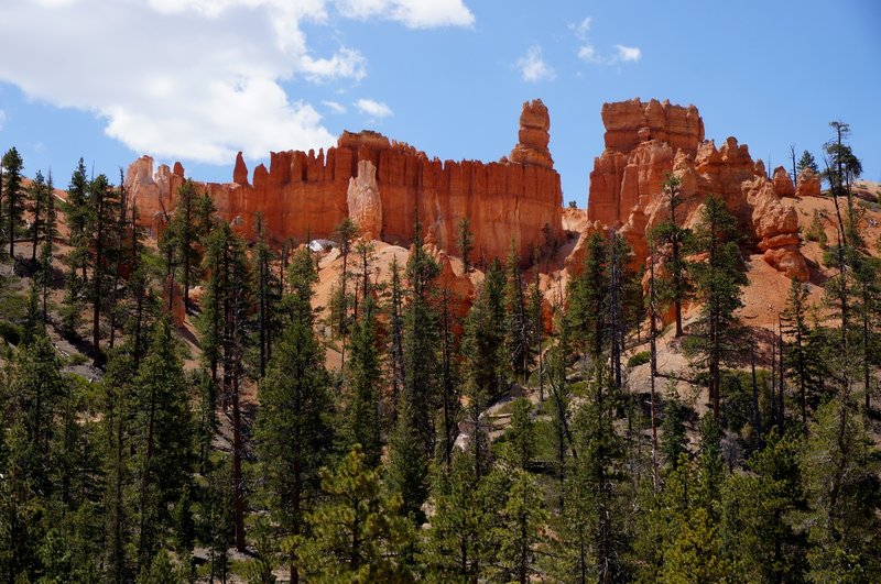 Views from the Queen's Garden Trail